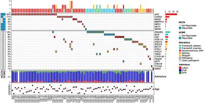 Evaluation of genetic alterations in hereditary cancer susceptibility genes in the Ashkenazi Jewish women community of Mexico